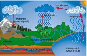 PE_TĂRÂMUL_ŞTIINŢEI: Circuitul apei în natură