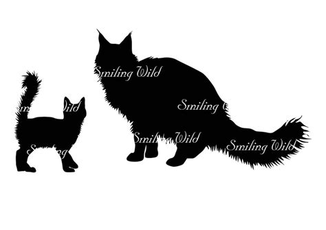 Maine coon cat silhouette svg clipart mainecoon kitten vector | Etsy