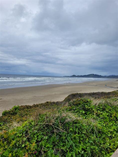 Whale Watching in Newport, Oregon: Top Spots - Oregon Coast Journey