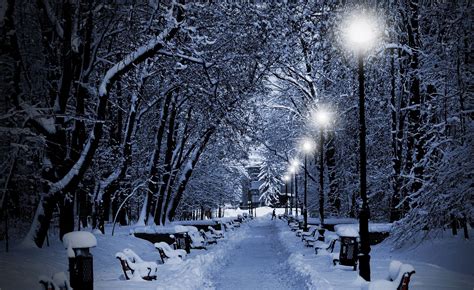 photography, Nature, Winter, Trees, Snow, Bench, Night, Lights, Park ...