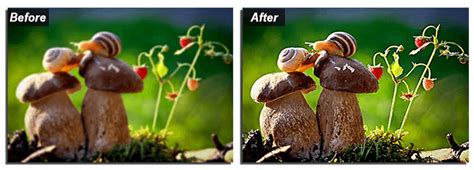 How to Sharpen Blurry Photos - 5 Ways to Fix a Blurry Picture