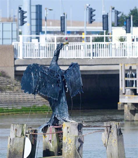 Nesting Cormorant | Art UK