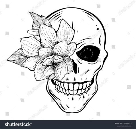 Human Skull Flowers Eye Socket Monochrome Stock Vector (Royalty Free ...