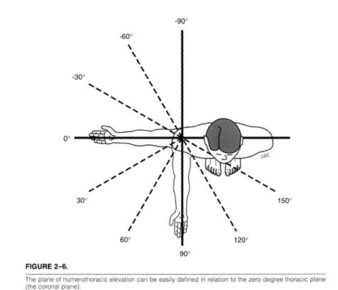 Shoulder Arthritis / Rotator Cuff Tears: causes of shoulder pain: Defining functional shoulder ...