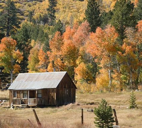 Cabin in Autumn Photograph by Anthony Trillo - Fine Art America