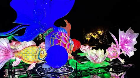 2025 Colors of the Wild Jacksonville ZOOLights Lantern Experience ...