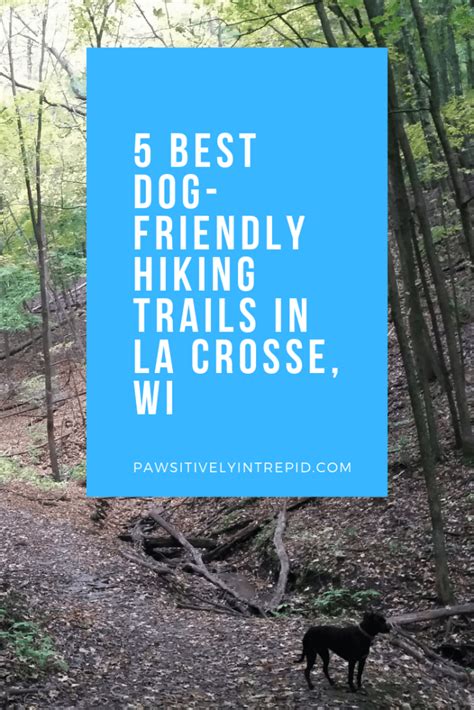 5 Best Dog-Friendly Hiking Trails in La Crosse, WI - Pawsitively Intrepid | Dog friends, Hiking ...