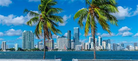 The Ultimate Guide To Miami Florida | CuddlyNest