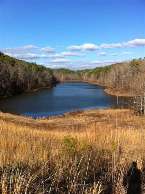 Camping in Alabama : r/pics