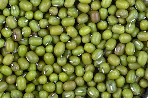 The Nutritional and Health Benefits of Mung Beans (Green Gram) | CalorieBee