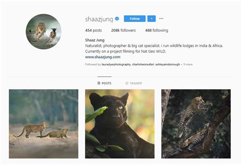 21 Inspiring Wildlife Photographers to Follow on Instagram — Wildlife Woods