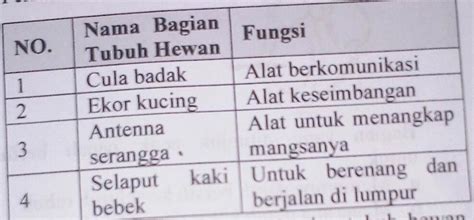 Detail Gambar Anggota Tubuh Hewan Dan Fungsinya Koleksi Nomer 42