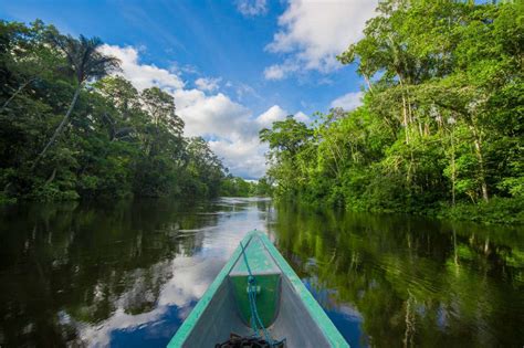 Is The Amazon Rainforest Only In Brazil - Inge Regine