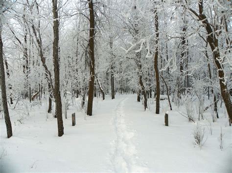 Winter Hiking Trail - a photo on Flickriver