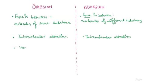 SOLVED: What are cohesive forces and adhesive forces?