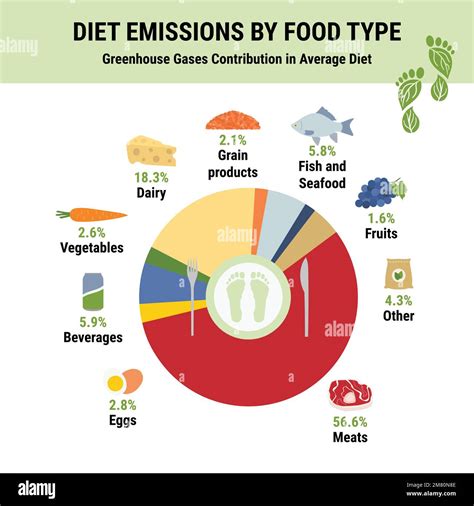 Greenhouse gases contribution in average diet. Carbon footprint of diet food type infographic ...