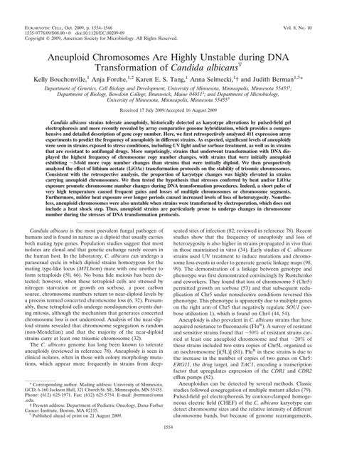 (PDF) Aneuploid Chromosomes Are Highly Unstable during DNA Transformation of Candida albicans