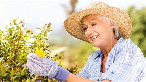 Gardening for Seniors | Benefits + Tips for Seniors to Get Active in ...