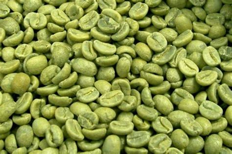 Green Coffee Beans – Araku Coffee Powder Online Buy Vizag, Hyderabad