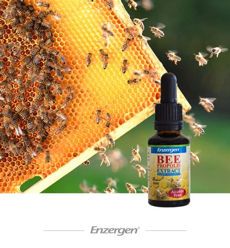 Bee Propolis Extract | KiwiCorp: Natural HealthCare 100% NZ Products