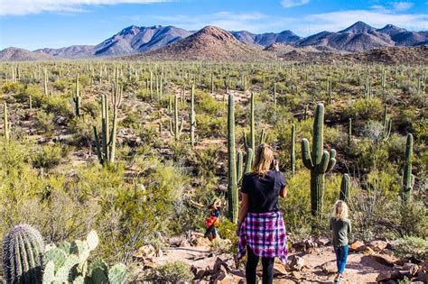 28 Amazing Things To Do In Tucson, Arizona