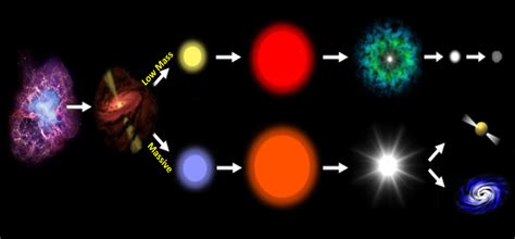 Star Life Cycle - Low Mass Diagram | Quizlet