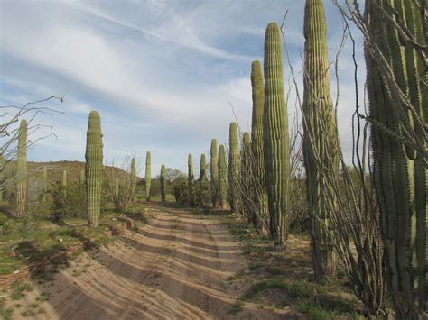 The Little Horn Mountains: Part 3 – Paying My Respects | Desert Mountaineer