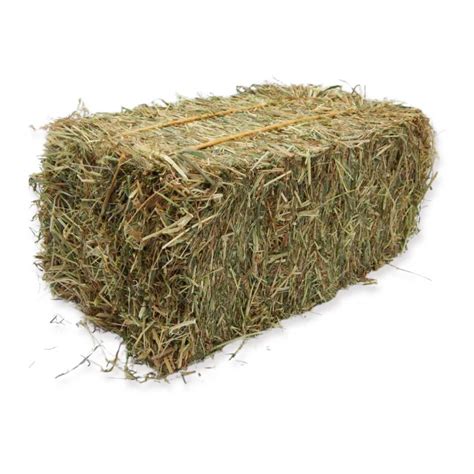 Baby Bale | Premium Sweet Green Meadow Hay | just4rabbits