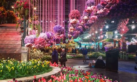 Unveiling the Magic of Philadelphia Flower Show's Display Gardens