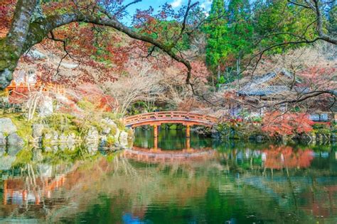 Free Photo | Daigo-ji temple in autumn, kyoto, japan