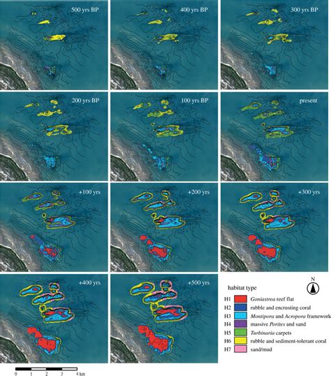 Spatial distribution of reef habitats throughout stages of reef... | Download Scientific Diagram