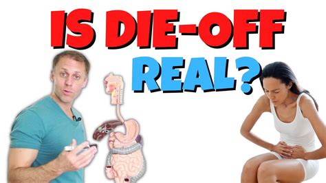 Is Die Off a Real Thing | The Herxheimer Reaction - YouTube