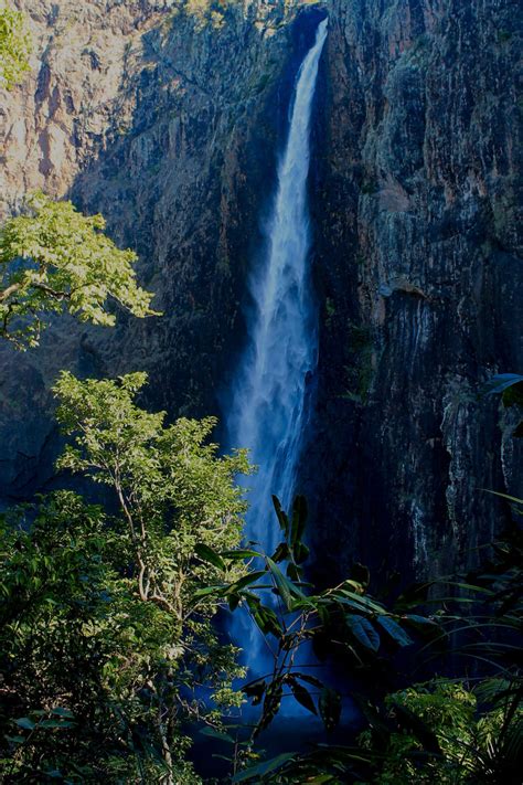 Wallaman Falls: Everything You Need to Know About Australia's Highest ...