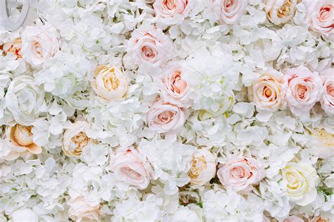 Flowers wall background white roses | High-Quality Nature Stock Photos ...
