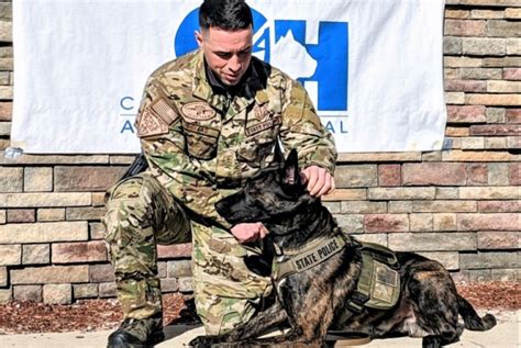 Massachusetts State Police K9 “Hulk” is gifted with ballistic vest ...