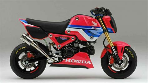 Honda MSX 125 Grom HRC Race Bike