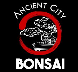 About - Ancient City Bonsai