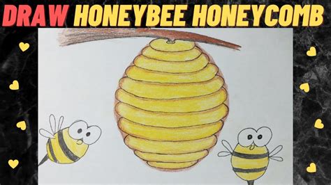 Bee Honeycomb Drawing