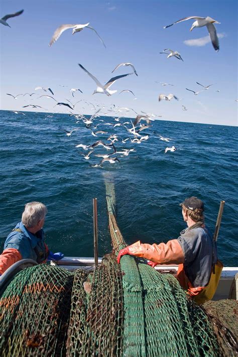 Bottom Trawling - WWF Baltic