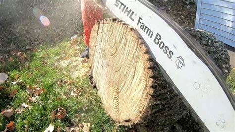 Stihl ms 271 farm boss review - Go Guru