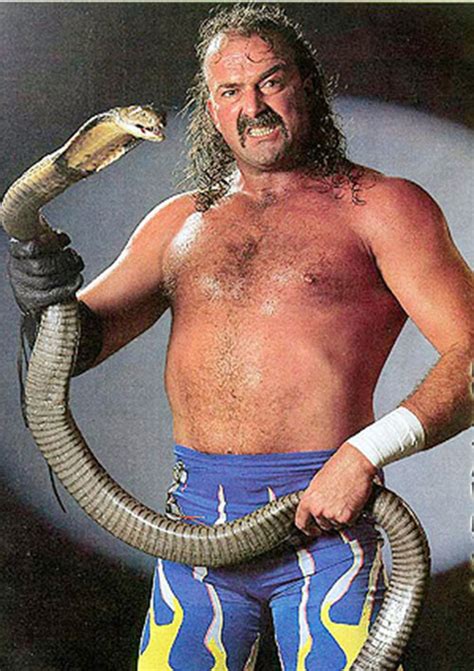 Jake Roberts - The Snake - Wrestler - Fantasy character profile - Writeups.org