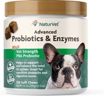 13 Best Probiotics For Dogs & Puppies (+1 to Avoid)