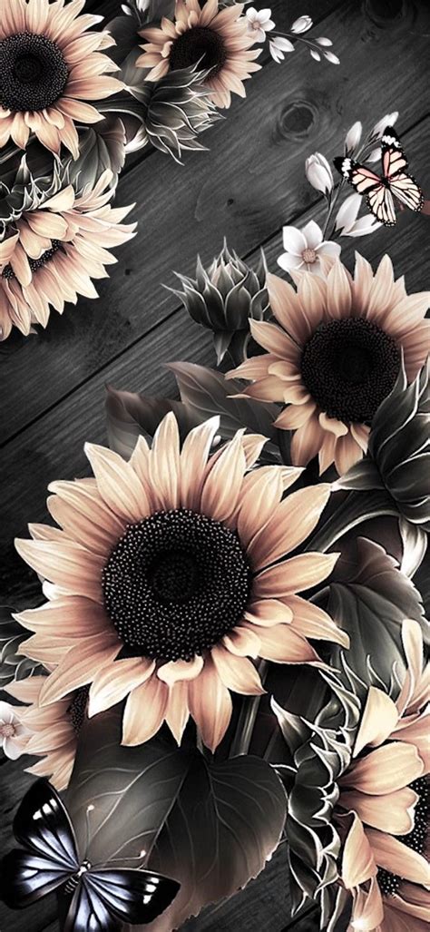 Pin by Melu Vazquez on Flowers Wallpaper in 2022 | Sunflower iphone ...