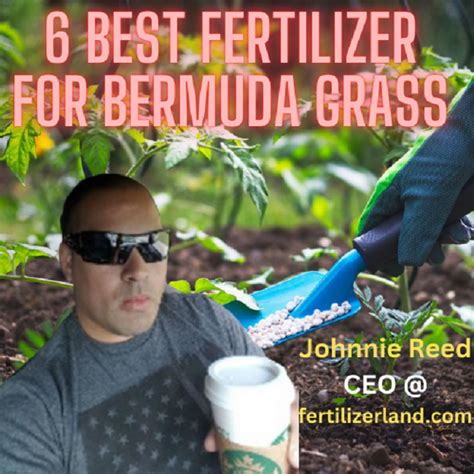 Best fertilizer for bermuda grass 2023 And Buyers Guide