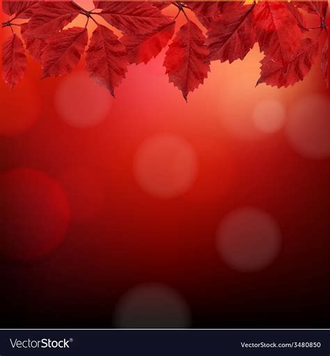 Red autumn background with leaves Royalty Free Vector Image