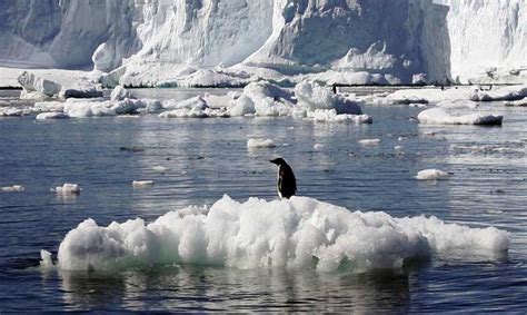 Antarctica: a laboratory for climate change