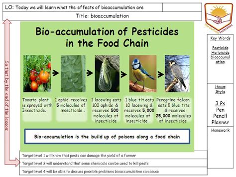 bioaccumulation | Teaching Resources