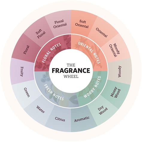 Fragrance families: 101 guide to identifying fragrances - NINUPERFUME