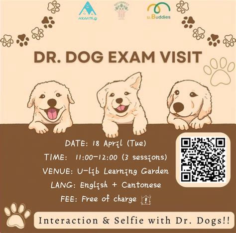 Dr. Dog Exam Visit (April 2023) - Sunshine At Cuhk