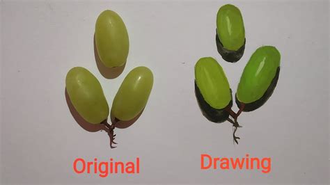 Grapes Drawing realistic || Poster colour || Time lapse || subba4109 ...